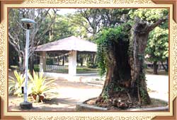 Empress Garden, Pune